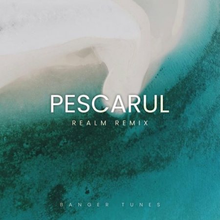 Banger Tunes - Pescarul (Realm Remix)