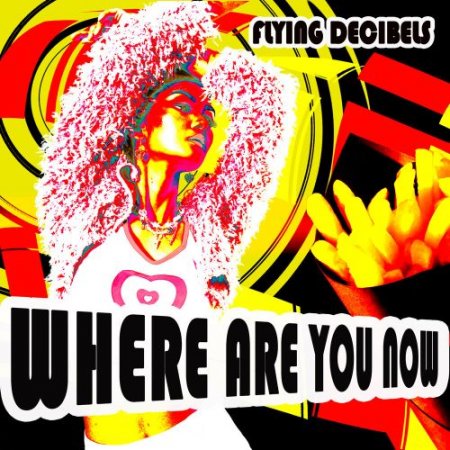 Flying Decibels - Where Are You Now