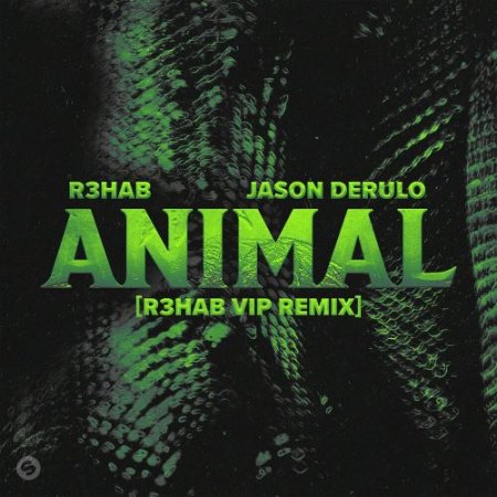 R3hab feat. Jason Derulo - Animal (R3hab VIP Remix)