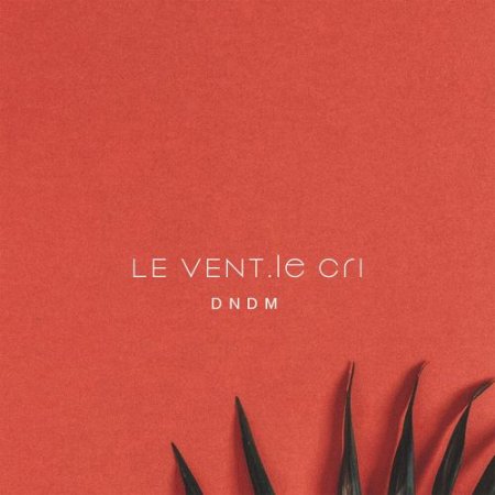 DNDM - Le Vent, le cri