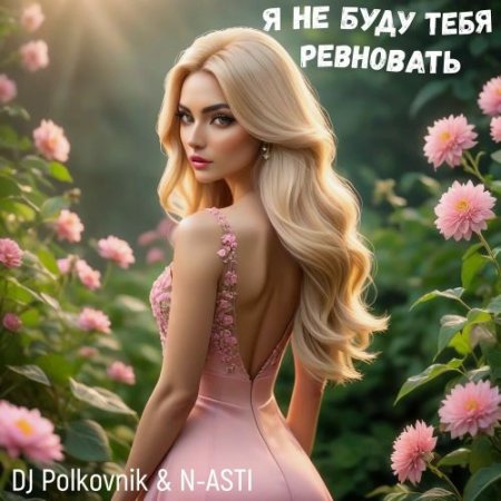 DJ Polkovnik, N-ASTI - Я не буду тебя ревновать