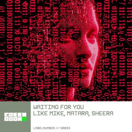 Like Mike feat. Matara & Sheera - Waiting For You