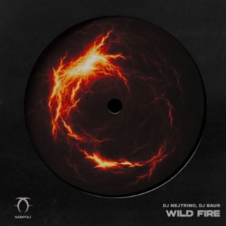 DJ Nejtrino & Dj Baur - Wild Fire