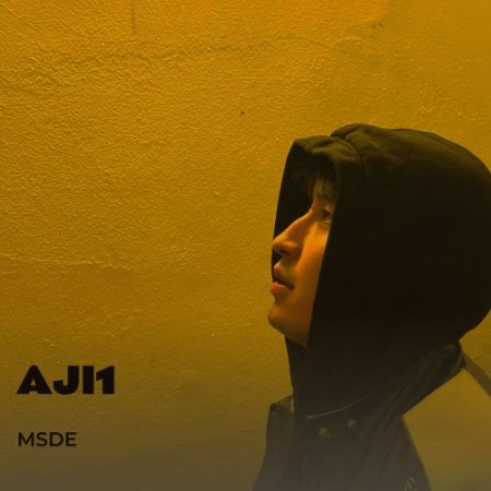 AJI1 - MSDE