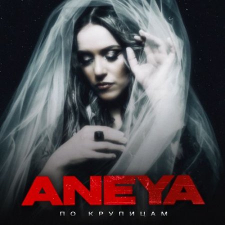 ANEYA - По крупицам