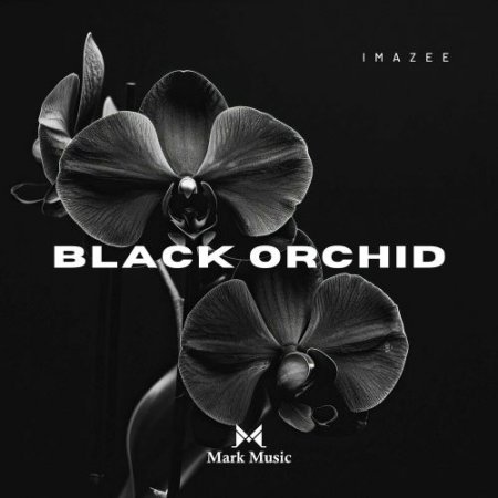 Imazee - Black Orchid