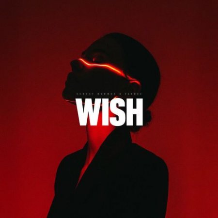 Serhat Durmus & Faydee - Wish