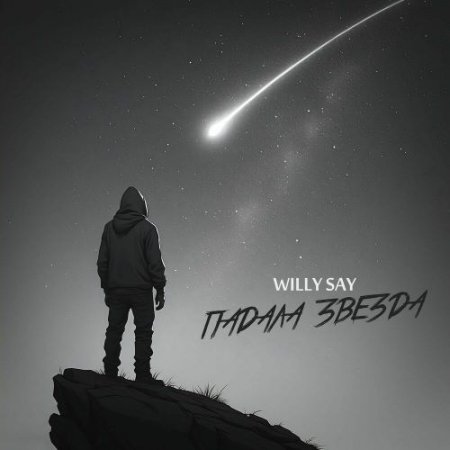 WILLY SAY - Падала звезда