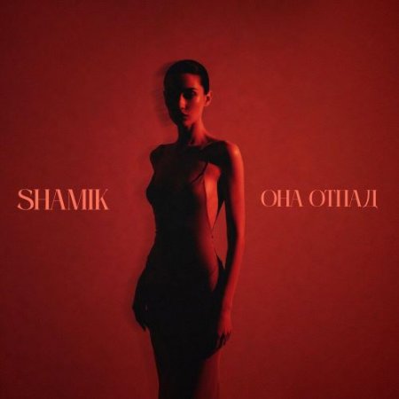 SHAMIK - Она отпад
