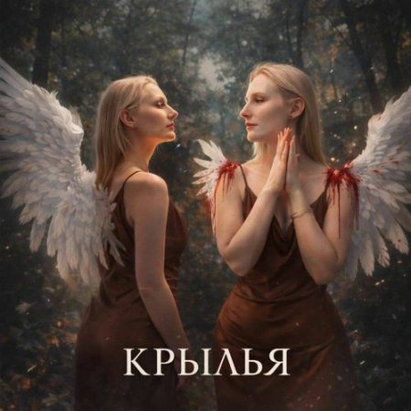 Анастасия Шарикова - Крылья